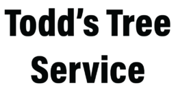 Todds Tree Service