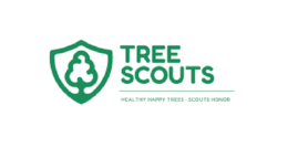 Tree Scouts