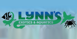 Lynns